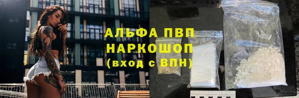 прущие грибы Белокуриха