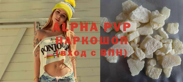 прущие грибы Белокуриха