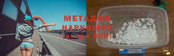 прущие грибы Белокуриха