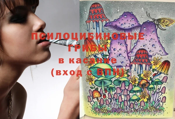 спайс Белоозёрский