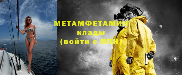 прущие грибы Белокуриха