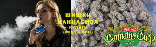 прущие грибы Белокуриха