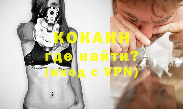 прущие грибы Белокуриха